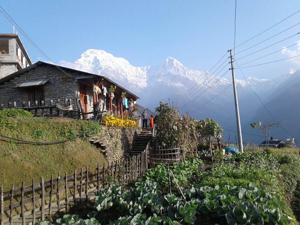 Ghandruk trek