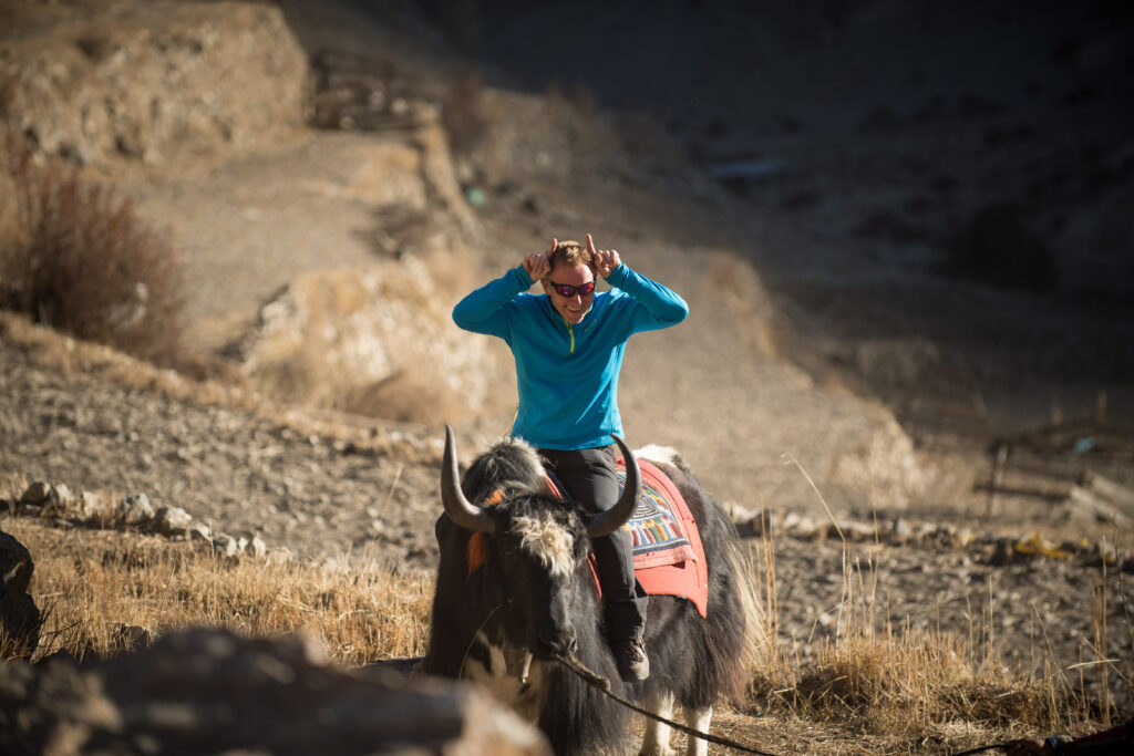 Man sat on Yak