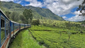Sri Lankas iconic train ride through tea plantations