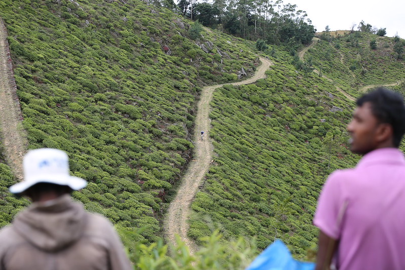 Sri Lanka Bike Tour Route Example in 8 Days